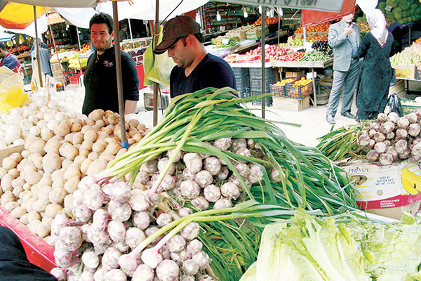 سیر همدان در سبد غذایی اروپاییها و آسیاییها